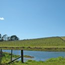 하니농장 이미지