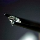 호텔 벨루스 이미지