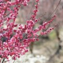 원동교통(주) 이미지