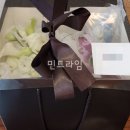 웨딩비르우엘
