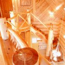 나무와 돌 이미지