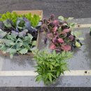 부자농약사 이미지