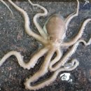 일등수산 이미지