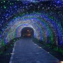 광명동굴 내 이미지