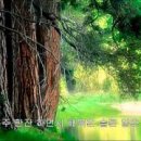 의호
