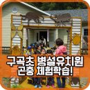 구곡초등학교 병설유치원 이미지