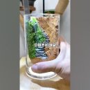 소정원