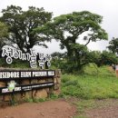 덕수목장 이미지