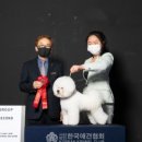 바비독 이미지