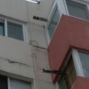 청송아파트 이미지