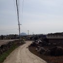 동광리-6 이미지