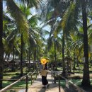 웰컴마켓2 | 치앙마이 여행 2일차｜찡짜이마켓·코코넛마켓·카오소이·선데이마켓 / 네일즈룸 후기