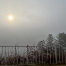 숲속의 연화 펜션 이미지