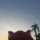 지.티.캐릭터 | 2025 홍콩 디즈니랜드 디즈니런 리얼 후기｜캐릭터들과 뛰는 꿈같은 런 이벤트!