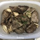 보노샌드 이미지