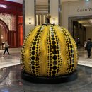 먹자판 | 2024년 6월의 일상) I stay up all night, till the morning light You’ll blow with me up, so so high✨