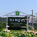 동천한증막 네이버블로그