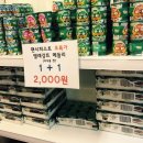 개냥이아울렛 이미지