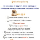 호야네애견샵 이미지