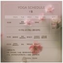 군포역 | [군포] 요가,연 - 군포역/산본요가 하타 클래스 체험 후기