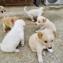 야베스하우스 이미지