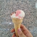 [청주 맛집]가경동 대패삽겹살 맛집 "93대패" 후기 리뷰