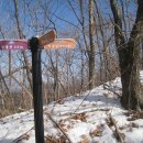 금화고속관광 이미지