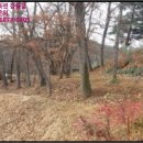 시산교차로 이미지