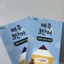 쓰기로 표현력 키우기(초3) | 글쓰기 어휘력 고민 끝! 생글방글 매주 3단어 초등 표현력 키우기 솔직 후기 (초등교육 홈스쿨링 필수템)