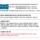 소미실비