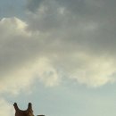 전주동물원 이미지