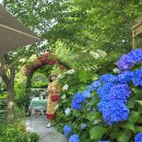 앵지밭골 이미지