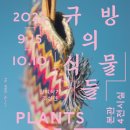 민속박물관 이미지