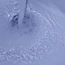 한국염소연구소 이미지