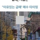 주식회사부동산중개법인체크 이미지