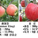 사과시험장 앞 이미지