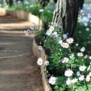 천아트&가죽공예 이미지