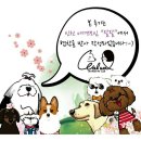 인천 애견모임 왈왈에서 2주년 기념 운동회 개최(feat.아임버디)