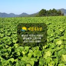김재성농장 이미지