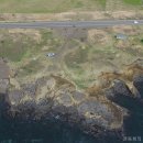 하모리-21 이미지