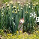 인제대학교 사회복지대학원 이미지