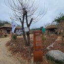 영주수도리김정규가옥 이미지