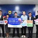 월드복싱 이미지