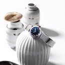 푸른스틸 이미지