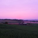 여명목장 이미지