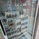 새싹약국 | 마운자로 다이어트 후기｜2.5mg 4주차 - 20만원대 강남 최저가 약국 공유