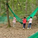 덕진초등학교병설유치원 이미지