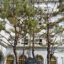 대진초등학교 이미지