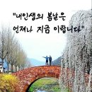 내인생의 봄날 이미지