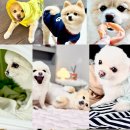 텀블러주문제작 추천 커스텀랩 커스텀 텀블러 1.2L 선명한 커스텀텀블러 제작 후기